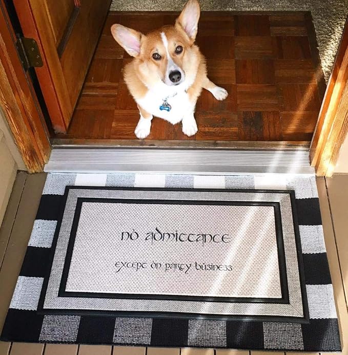 UKELER Black and White Rug 2×3, Cotton Buffalo Plaid Rugs for Front Porch Machine Washable Cute Farmhouse Layered Door Mats Welcome Doormats Outdoor Front Porch Rugs