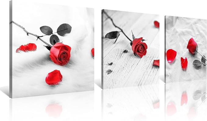 NAN Wind 3 Pcs Modern Canvas Painting Black and White Red Rose Canvas Art Painting Abstract Wall Art Decorations Flower Picture on Canvas for Home Decor Valentines Gift Stretched and Framed
