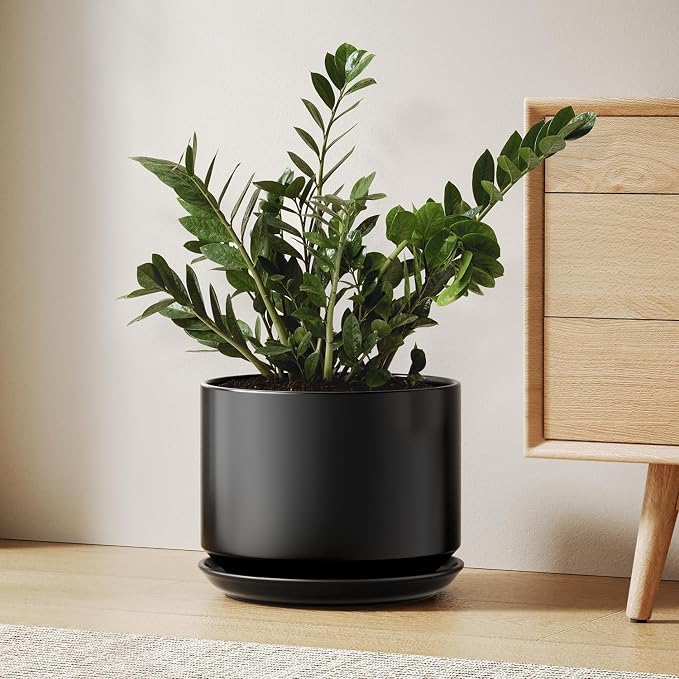 LE TAUCI Ceramic Pots for Plants, 10 Inch Plant Pot with Drainage Hole & Saucer, Sturdy & Modern Planters for Indoor Plants, Includes Mesh Screen, Fits Snake Plant & Monstera, Black