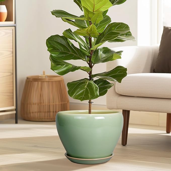 Ceramicfor Ceramic Planter Pot, 10 Inch Plant Pot, Reactive Green | Decorative Planter with Drainage Hole and Saucer, Large Round Flower Pot for Indoor Plants, Garden Decor