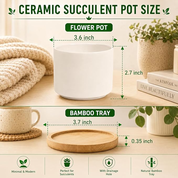 ZOUTOG 6 Pack 3.6" Ceramic Succulent Pots,White Planter with Drainage Tray