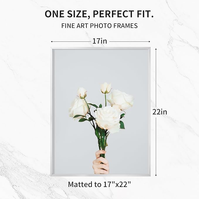 Fun Memories 17x22 Metal Picture Frame - High End Aluminum Frames with Real Glass for Diplomas, Certificates, and Wall Art, Mounts Horizontally or Vertically, Silver, 1 Pack