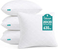 Oubonun 20 x 20 Throw Pillows Inserts Pack of 4 Decorative White Square Pillow Inserts, Premium Fluffy Pillow Insert Pair for Sofa Couch Living Room