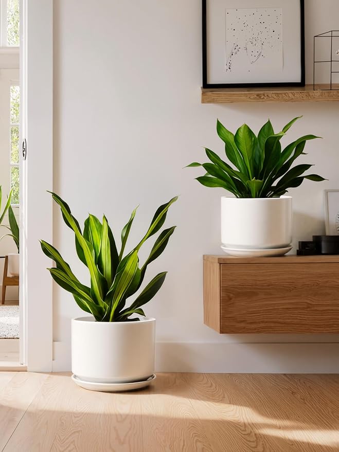 LE TAUCI Ceramic Pots for Plants, Set of 2, 10 + 12 Inch Plant Pot with Drainage Hole and Saucer, Durable & Stylish Planters for Indoor Plants, Elevate Your Home’s Aesthetic, White