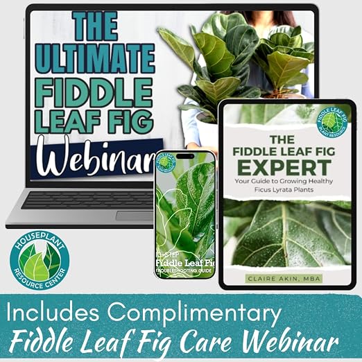 Fiddle Leaf Fig Rescue Drops for Brown Spots, Root Rot & Stress, 3.3 oz