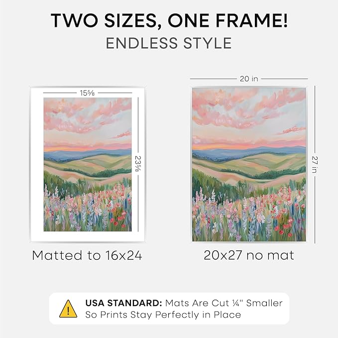 Homeforia 20x27 Silver Picture Frame, High-End Metal, 16x24 Mat, Glass