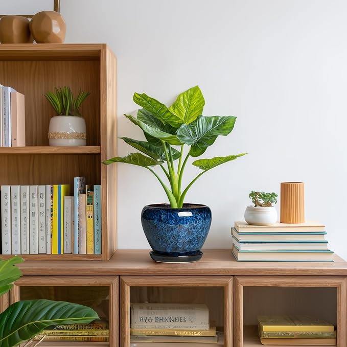 6 Inch Plant Pot - Ceramic Pots for Plants with Drainage Hole and Saucer, Round Succulent Planter Indoor Outdoor, Modern Flower Pot for Snake Plants, Home Decor, Gifts for Plant Lover, Blue