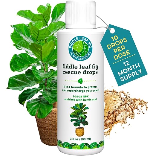 Fiddle Leaf Fig Rescue Drops for Brown Spots, Root Rot & Stress, 3.3 oz