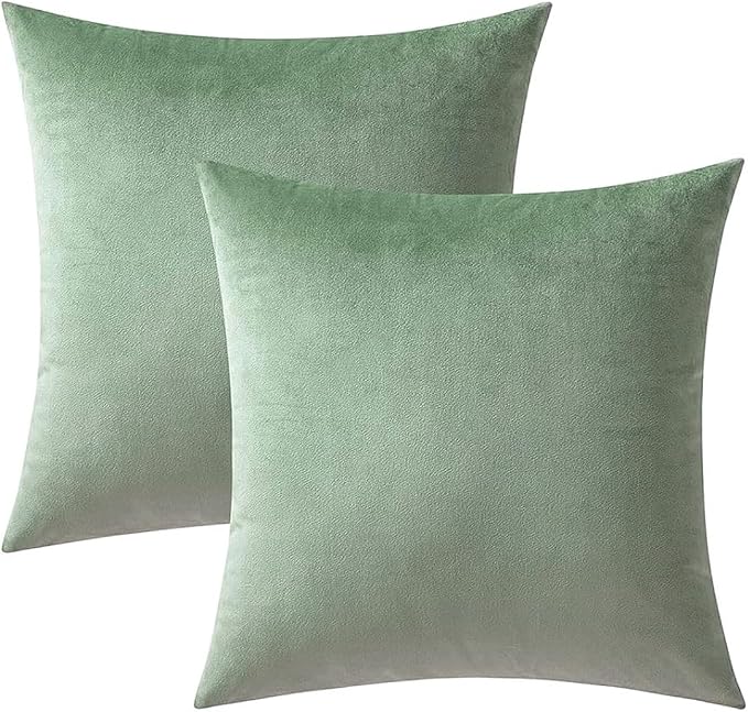 VAKADO Throw Pillow Covers Decorative 20X20 Set of 2 Sage Green Outdoor Decor Couch Cushion Covers Euro Pillowcases Home Bed Decoration for Sofa Bedroom Office