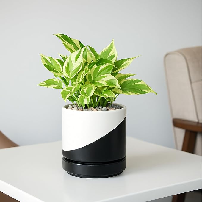 D'vine Dev 4.7 Inch Ceramic Planter Pot, Black White Diagonal, 94-O-B-K | Modern Cylinder Design, Drainage Hole & Saucer Included, Stable Structure, Elegant Home Accent