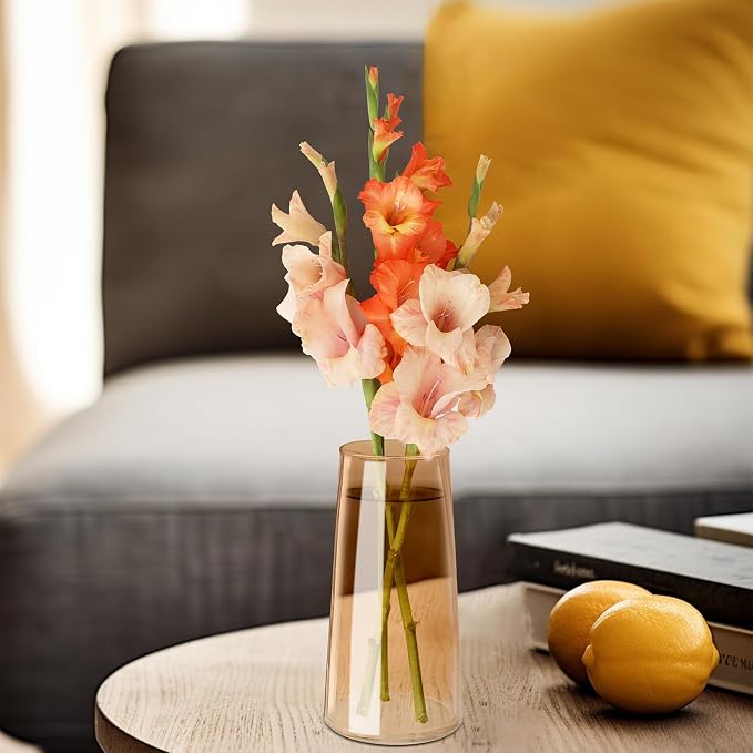 Amber Glass Vase for Flowers-6 Inch Clear Glass Flower Vases for Centerpiece，Ins Modern Boho Style Vase for Wedding Housewarming Gift(Amber, Small)