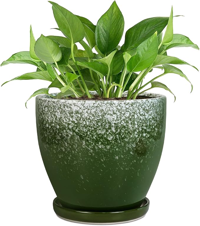 6 Inch Plant Pot - Ceramic Plant Pots with Drainage Hole and Saucer, Ceramic Planter for Indoor Outdoor Plants, Round Modern Planter, Room House Decor, Gifts for Women Men, Green