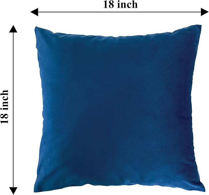 RELY+ Pack of 2 Throw Pillow Covers 18x18 Inch Velvet Soft Cozy Solid Decoration Gifts Pillow Covers Luxury Cushion Case for Sofa Couch Bedroom Living Room (Blue, 18 X 18)