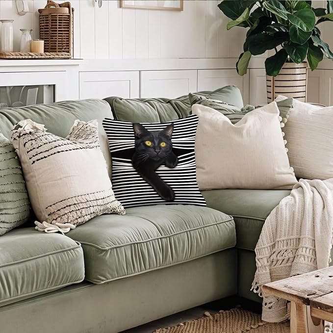 Funny Moody Black Cat Pillow Covers 18x18, Cat Room Decor, Whimsical Kitten Black and White Striped Decorative Throw Pillow Covers Pillowcases for Bedroom Living Room Home Decor