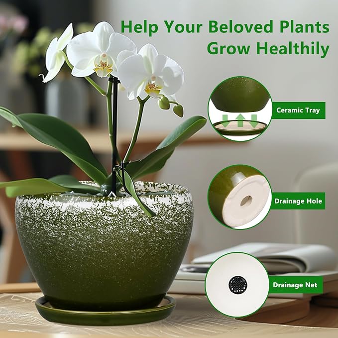 Ceramicfor 10 Inch Planter Pot - Ceramic Pots for Plants with Drainage Hole and Saucer, Round Large Flower Pot for Indoor Plants, Dark Green