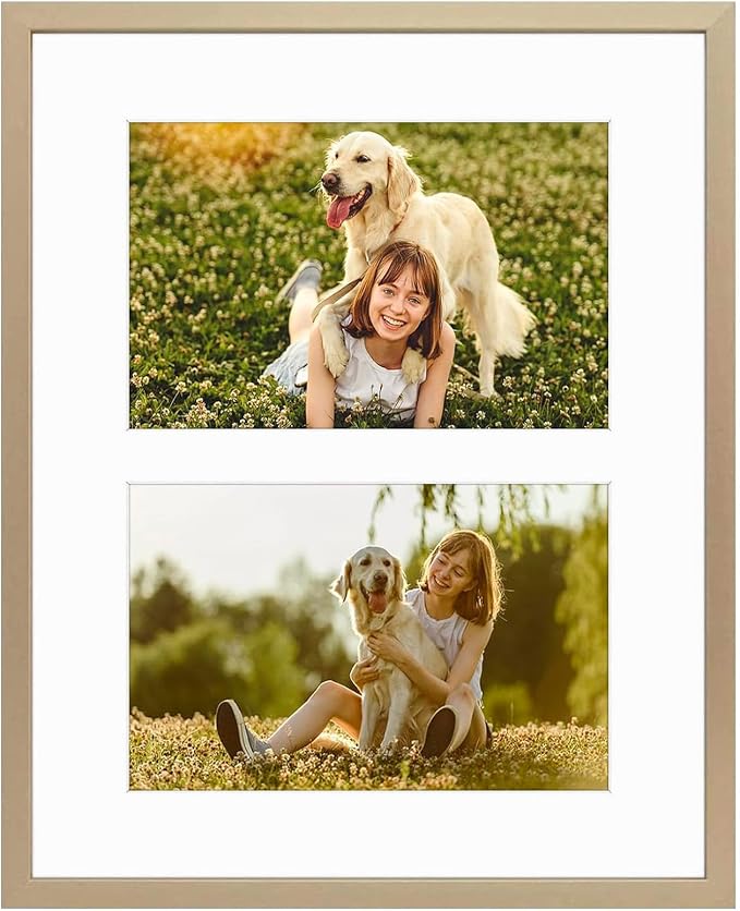 Golden State Art 8x10 Collage Frame w/Mat for 2 4x6 Photos Gold 1 Pack