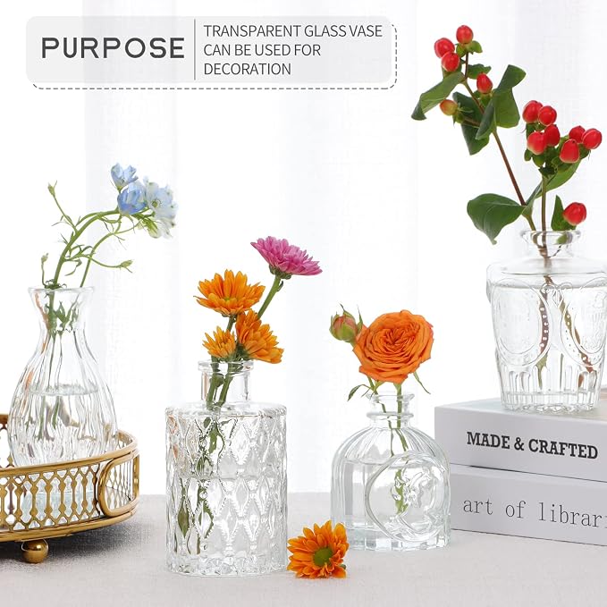 8 Pcs Glass Bud Vases Clear Vintage Small Flower Vases for Table Decor