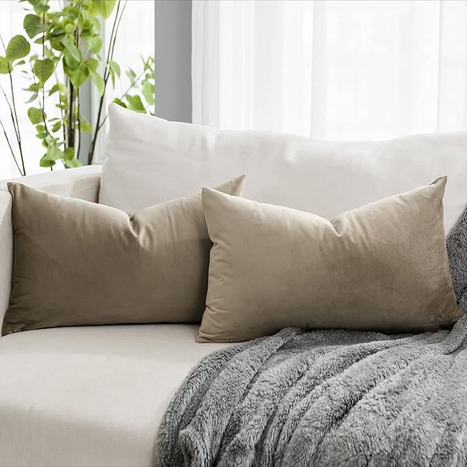 Stone Decorative Lumbar Velvet Throw Pillow Covers 16x24 inch Set of 2 with Zipper Luxury Soft Solid Rectangle Cushion Covers Case for Sofa Couch Bed Living Room