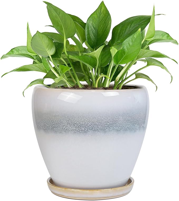 Ceramic Plant Pot - 6 Inch Ceramic Pots Indoor, White-Grey | Decorative Planter with Drainage Hole and Saucer, Modern Plant Pots for Plants, Bedroom Room Decor, Plant Lover Gifts