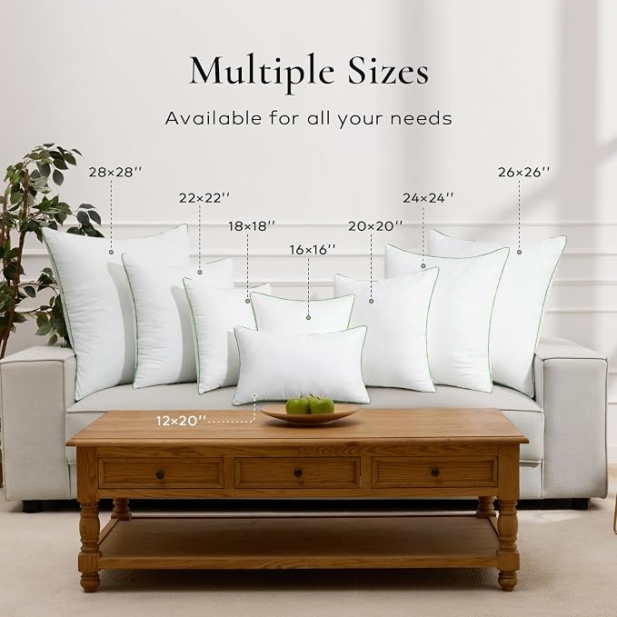 Ashler 12x20 Pillows Insert Set of 2, Lumbar Pillow | 100% Cotton Cover, Lumbar Pillow, Premium Square Pillow Stuffer Sham, Decorative Throw Pillows for Couch, Bed & Sofa