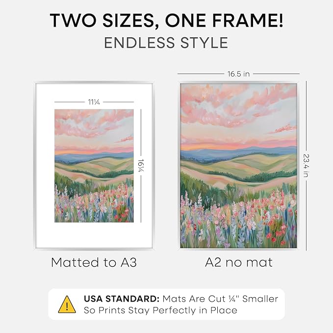 Homeforia A2 Silver Picture Frame, High-End Metal, A3 Mat, Glass