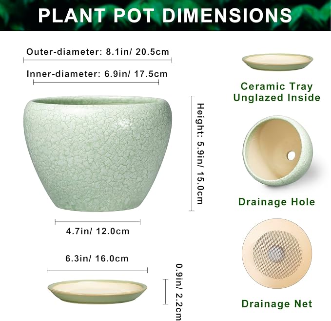 Ceramic Planter, 8 Inch Plant Pot, Crackle Light Green | Indoor Planters for Indoor Plants, Decorative Flower Pots with Drainage Hole and Saucer, Office Decor, Plant Lover Gifts