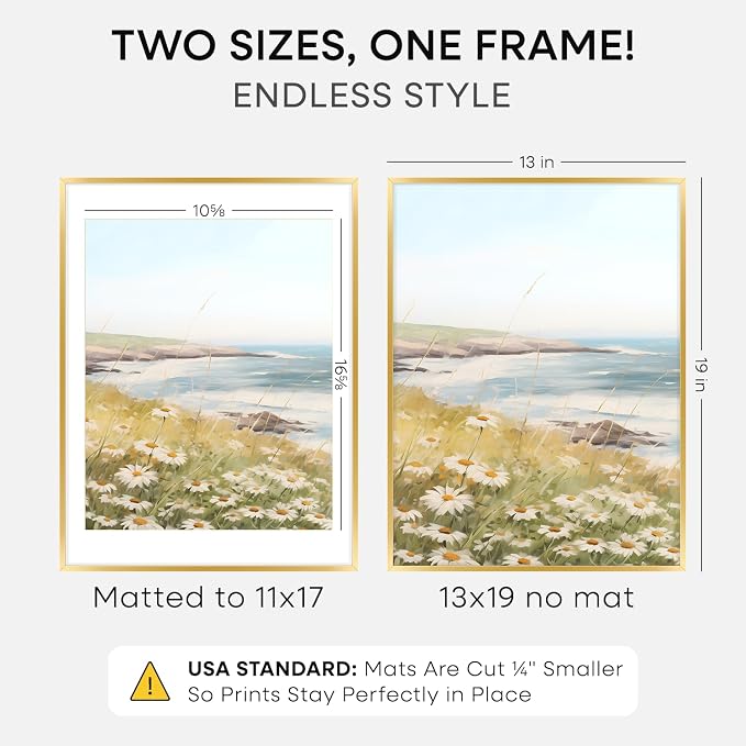 Homeforia 13x19 Gold Picture Frame, High-End Metal, 11x17 Mat, Glass