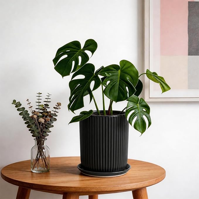 Deep Dream 8 Inch Ceramic Pots for Plants, Heavy Plant Pot for Indoor Outdoor Plants, Large Plant Pot with Drainage Hole and Saucer, Modern Tall Flower Pot, Gifts for Plant Lovers, Black