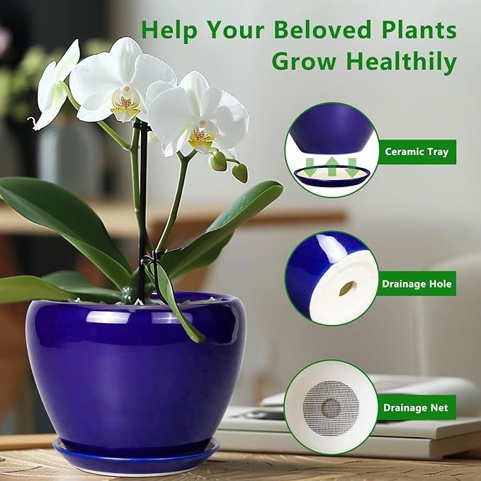 Ceramicfor Ceramic Plant Pot 8 Inch, Planter for Indoor Plants, Royal Blue | Indoor Plant Pot with Drainage Hole and Saucer, Round Planter, Modern Flower Pot, House Decor, Plant Lovers Gifts