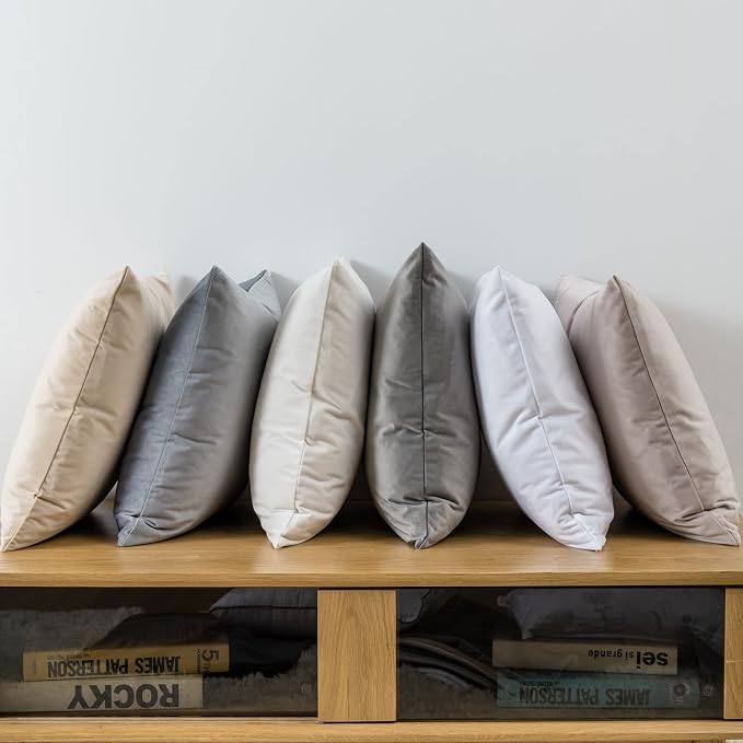 JUSPURBET 28x28 Euro Velvet Throw Pillow Covers Set of 2,Champagne