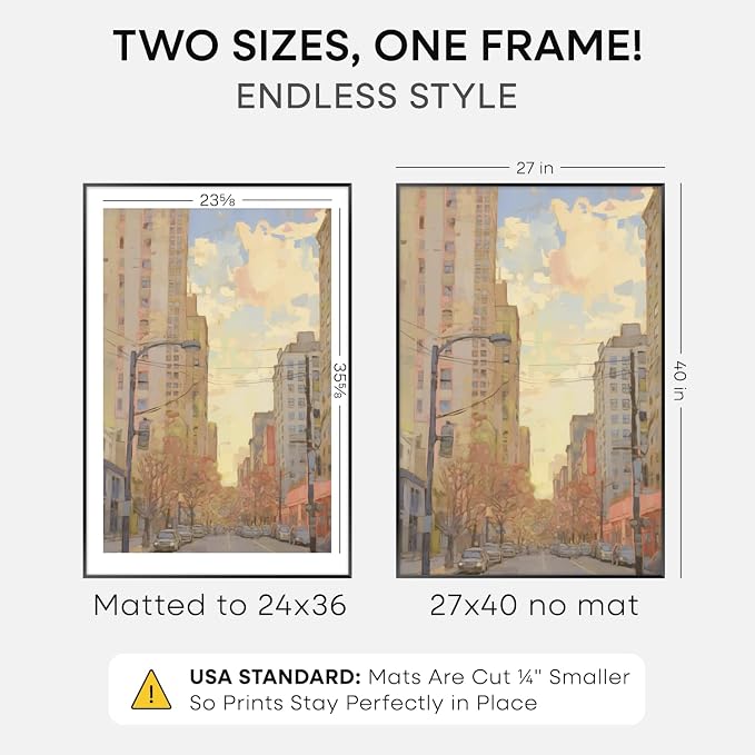 Homeforia 27x40 Black Poster Frame, High-End Metal, 24x36 Mat, Glass