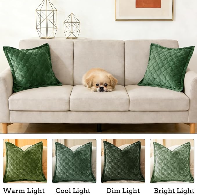Throw Pillow Cover 18x18 1 Piece Velvet Square Pillowcase Soft Skin-Friendly Cross Process Decorative Farmhouse Cushion Covers for Couch Sofa Bedroom Living Room,Green