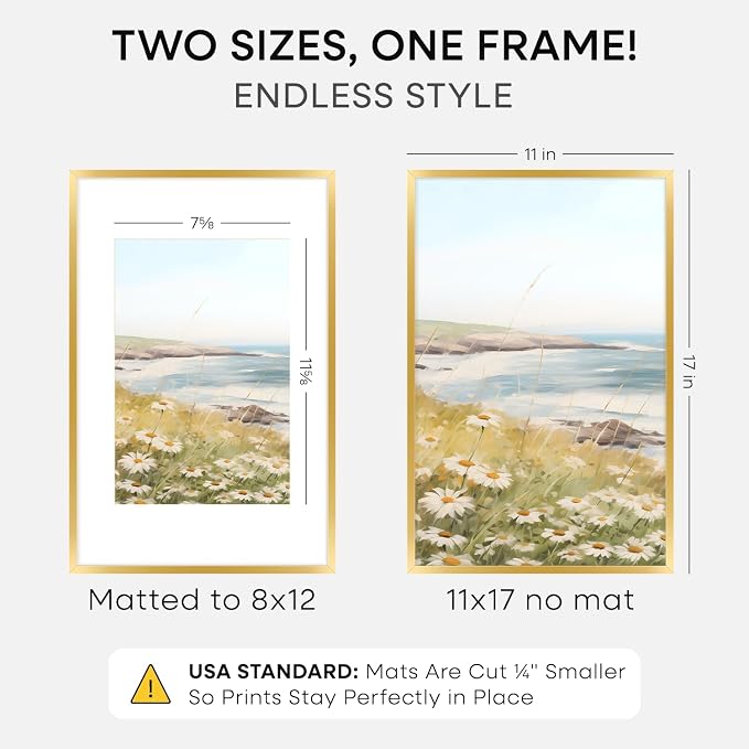 Homeforia 11x17 Gold Picture Frame, High-End Metal, 8x12 Mat, Glass