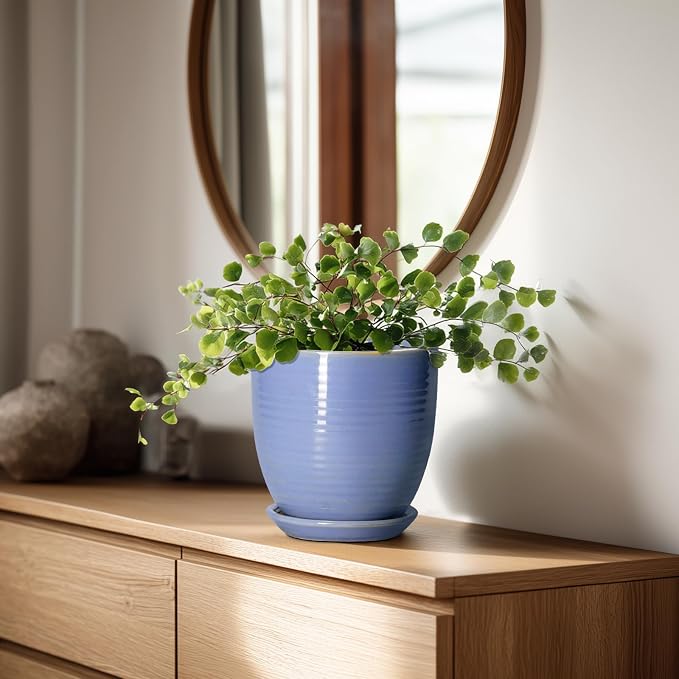 6 Inch Ceramic Pots for Plants - Ceramic Plant Pots with Drainage Hole and Saucer, Flower Pot for Indoor Plants, Round Modern Planter, Apartment Decor, Housewarming Gifts, Blue-Purple