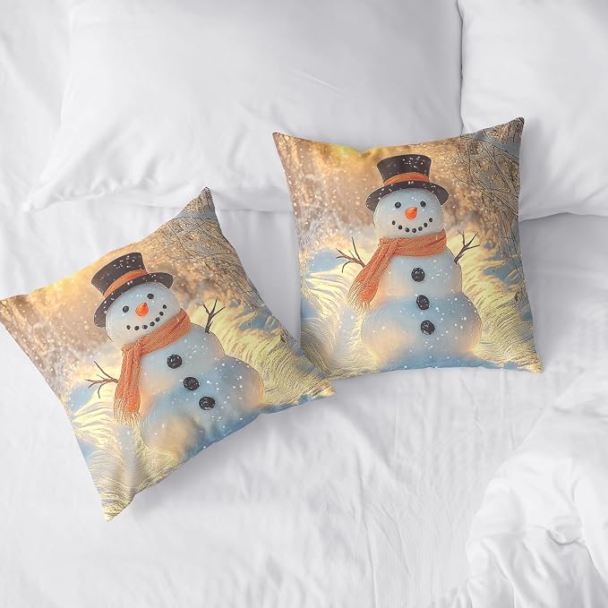 Winter Pillow Covers Snowman in The Sunshine Throw Pillow Covers 20x20 Snowflakes Pillow Case Double Sided Printing Cushion Case for Home Decor Couch Sofa Set of 2