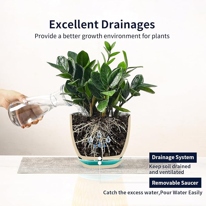 Selamica Ceramica Plant Pots, 6.5 Inch Flower Pots Set of 2 with Drainage Holes & Saucer, Planters for Indoor Plants, Home Decor, Assorted Colors