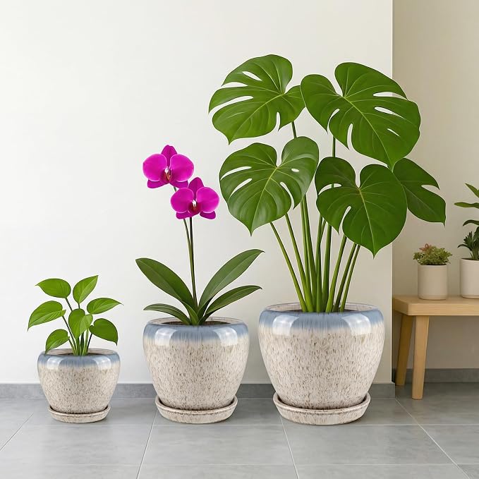 Deep Dream 6 Inch Plant Pots- Ceramic Planter Pot with Drainage Hole and Saucer, Round Flower Pot for Indoor Outdoor Succulent, Snake Plants and Cactus, Beige&Blue
