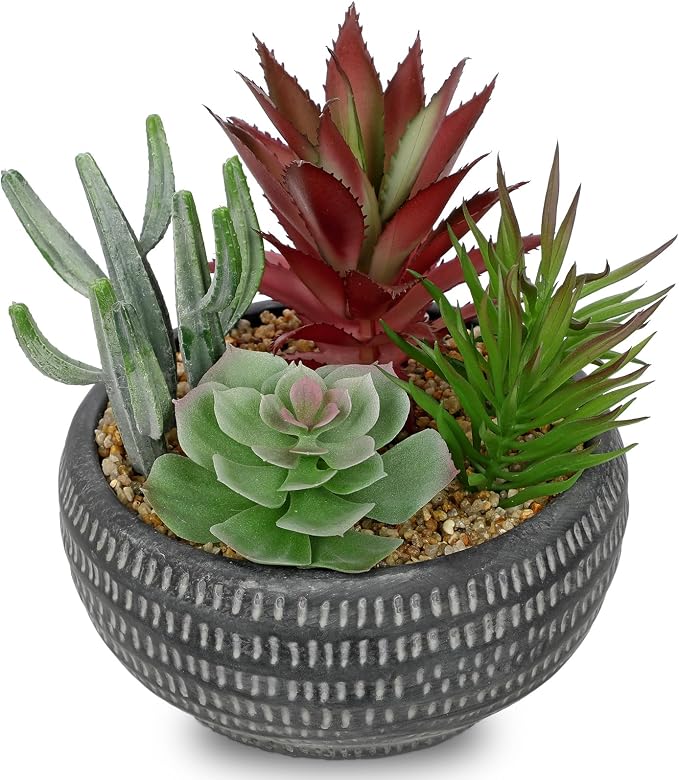 Briful Fake Succulents in Black Cement Pot, Artificial Succulent Plants Arrangement for Home Decor, Small Faux Potted Plants Tabletop Centerpiece, Desk Office Bathroom Shelf Decorations