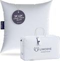 Lincove Euro Throw Pillow Insert Square 24"x24" Pillow – Made in Canada, 100% Cotton Shell, Down Alternative Filling, Vegan-Friendly, Hypoallergenic - Decorative Couch Pillows, 1 Pack