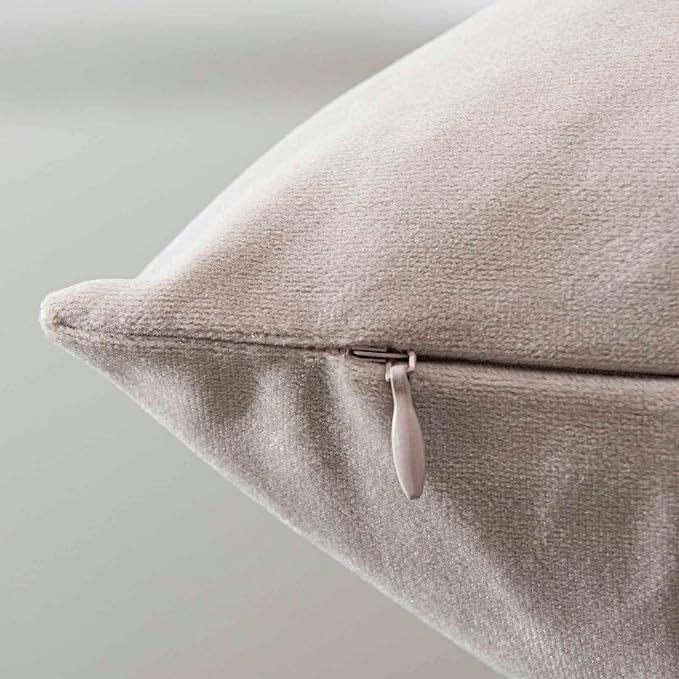 JUSPURBET 24x24 Euro Velvet Throw Pillow Covers Set of 2,Cloud
