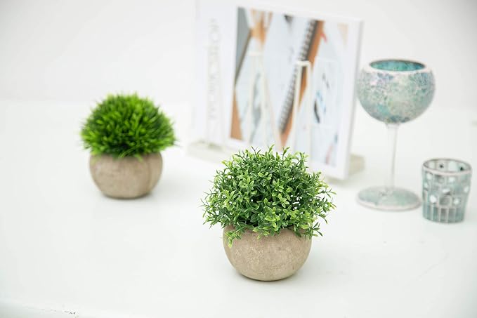 Velener 2Pcs Mini Artificial Boxwood Topiary Faux Plants Indoor- Small Fake Plants Decor Magnolia Home Office Desk Cubicle Farmhouse Kitchen Bookshelf Bedroom Bathroom Decor, Aloe Vera Zen Garden