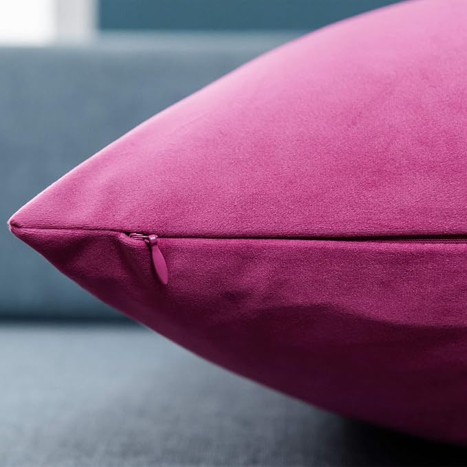 JUSPURBET 24x24 Euro Velvet Throw Pillow Covers Set of 2,Rose Red