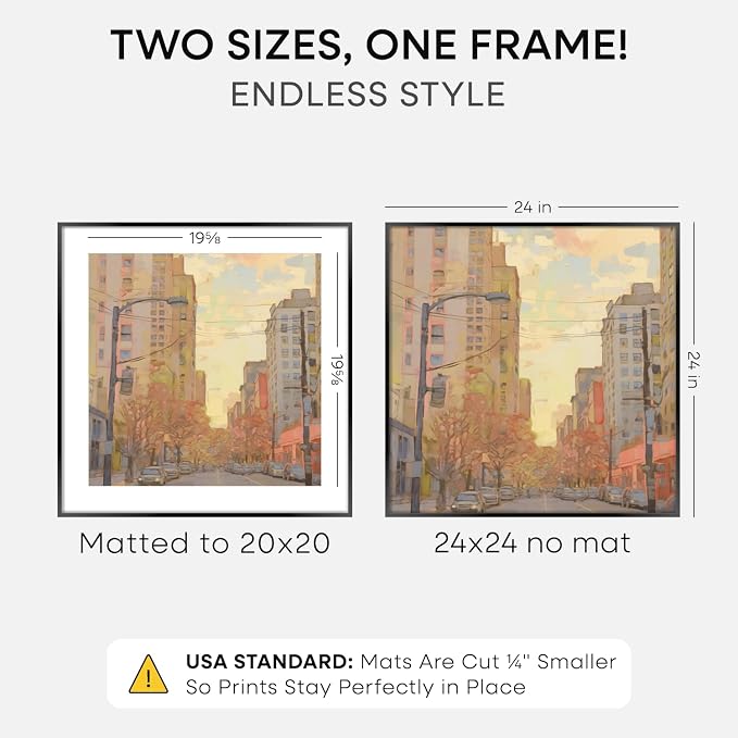 Homeforia 24x24 Black Picture Frame, High-End Metal, 20x20 Mat, Glass
