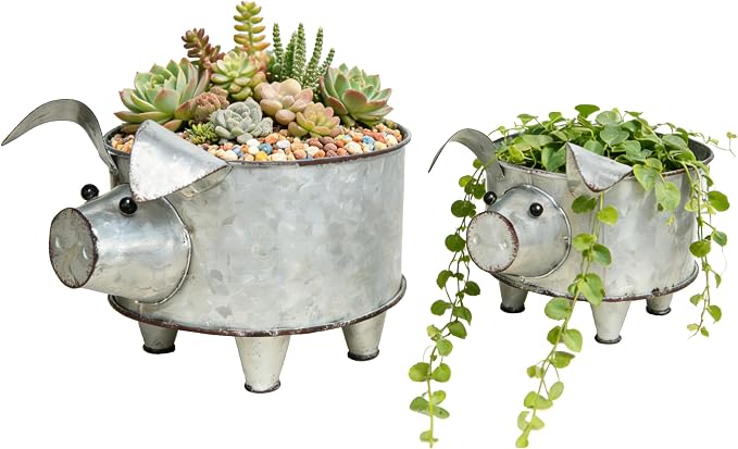 ShabbyDecor Galvanized Metal Pig Succulent Planter, Big and Small