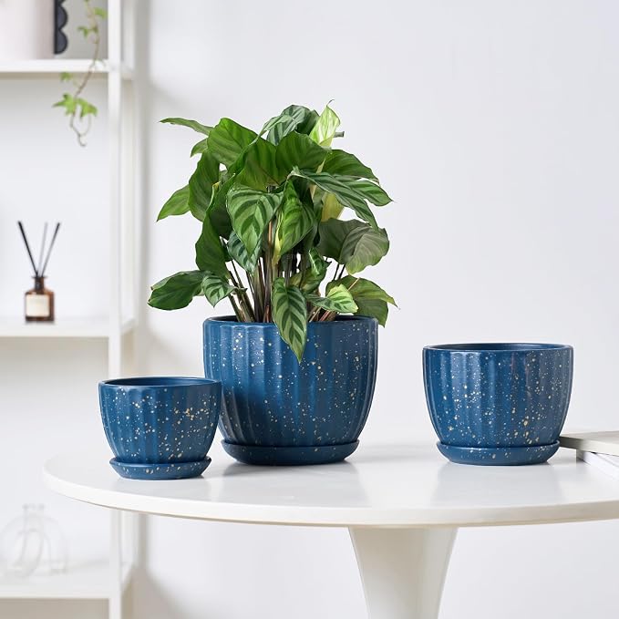 4/5/6 Inches Ceramic Plant Pots with Drainage Holes and Saucer Set of 3 | Round Planter for Small Indoor/Outdoor Plants with Modern Stripes Design, Blue with Gold Dot, Decorative Flower Pots