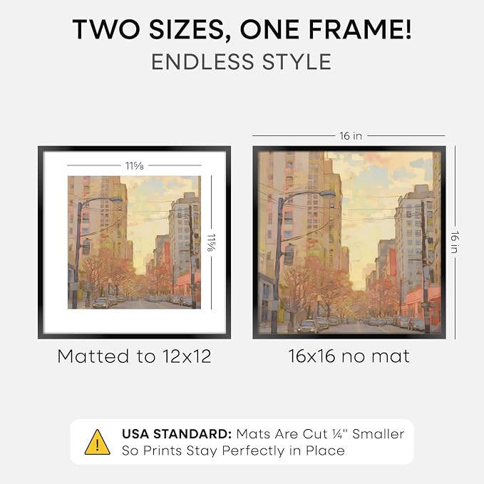 Homeforia 16x16 Black Picture Frame, High-End Metal, 12x12 Mat, Glass