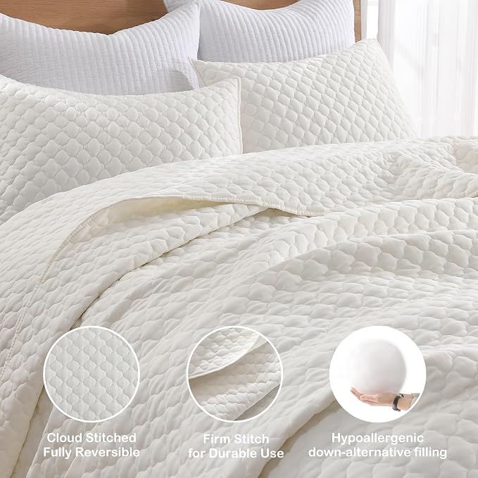 HORIMOTE HOME Cream Quilt Queen Size, Lightweight Quilts for Summer Ultra-Soft Microfiber Modern Style Quilted Clouds Pattern Bedspread Quit Set 3 Pieces(1 Quilt and 2 Pillow Shams)