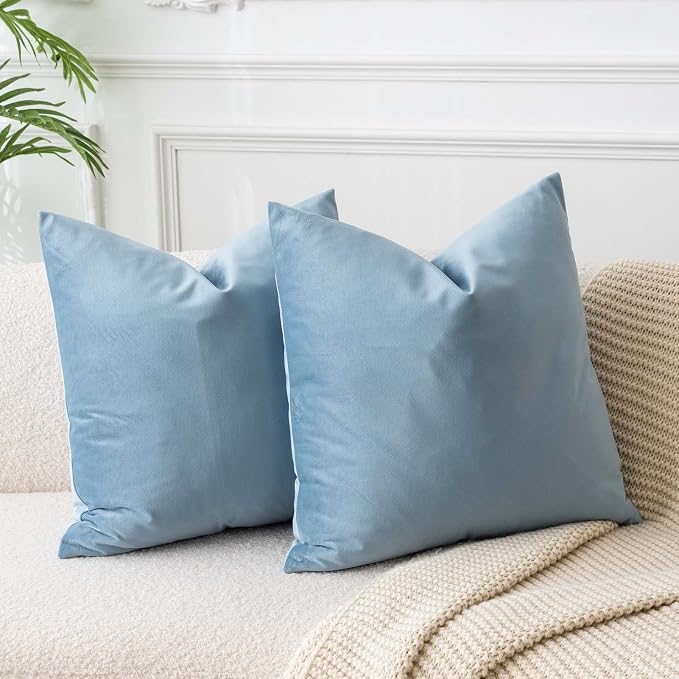JUSPURBET 22x22 Decorative Velvet Throw Pillow Covers Set of 2,Light Blue