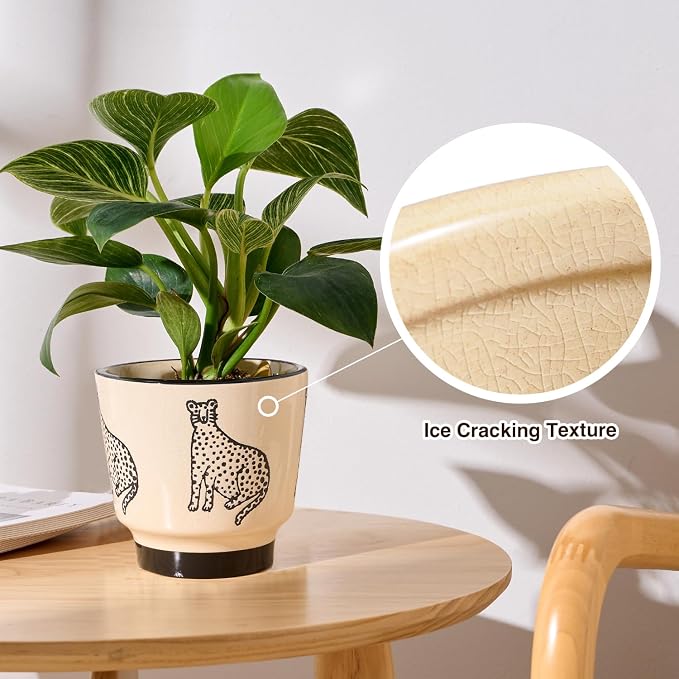 STHIE 5 Inch Ceramic Planters for Indoor Plants, Funny Small Plant Pots