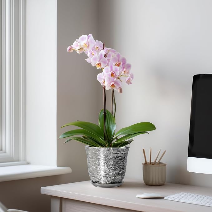 5.6 Inch Plant Pot - Ceramic Pots for Plants Indoor Outdoor, Succulent Orchid Pot with Drainage Hole and Saucer, Round Planter, Small Flower Pots, Room Decor, Gifts for Plant Lovers, Silver